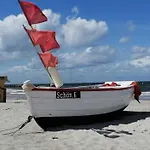 Seepferdchen